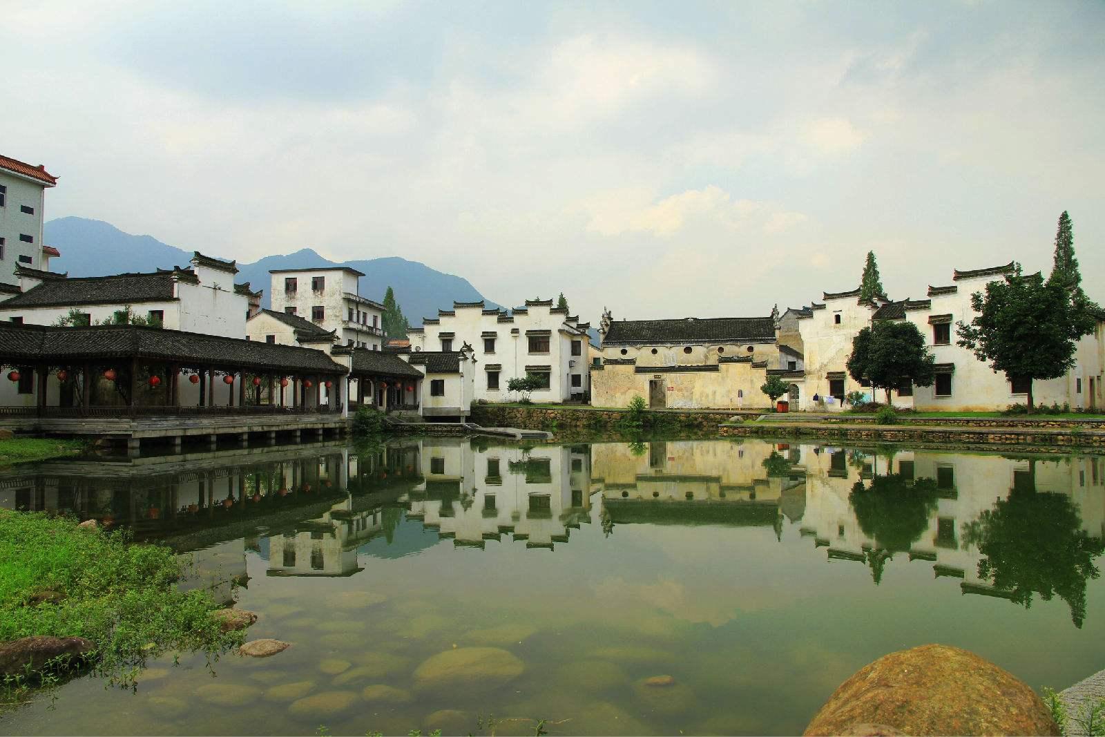 救援小白狼